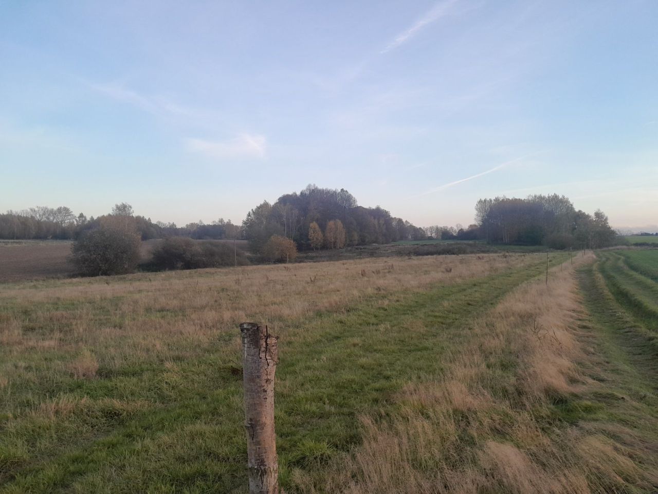 Działka rolna Grodnica