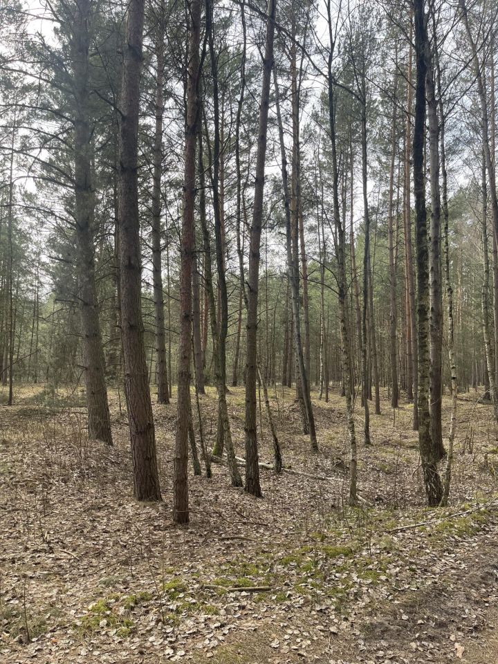 Działka budowlana Faustynów Fraszka. Zdjęcie 7