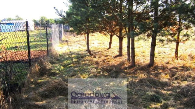 Działka Sekłak. Zdjęcie 14
