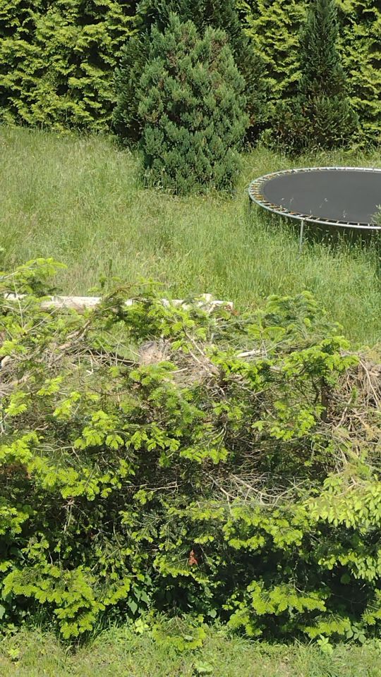 Mieszkanie 3-pokojowe Karzniczka. Zdjęcie 8