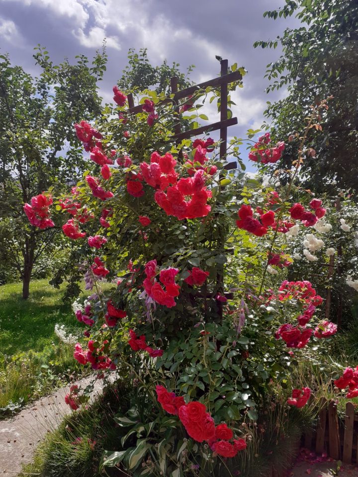 Działka rod Olsztyn Nagórki, al. Aleja Generała Władysława Sikorskiego. Zdjęcie 6