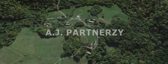 Działka Pasierbiec. Zdjęcie 2