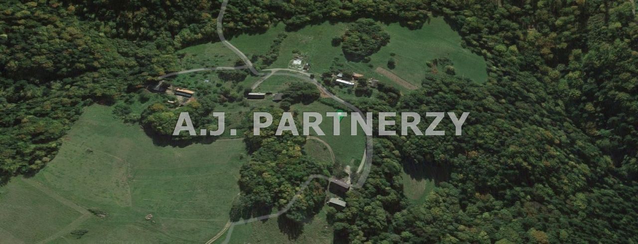 Działka Pasierbiec. Zdjęcie 2