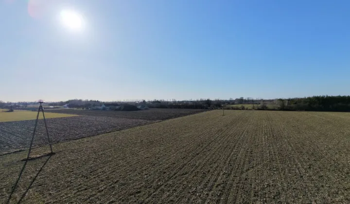 Działka siedliskowa Boża Wola, ul. Sadowa