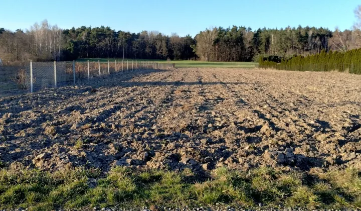 Działka budowlana Trzcianna