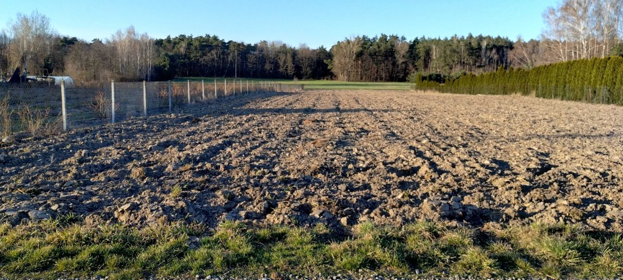 Działka budowlana Trzcianna. Zdjęcie 1