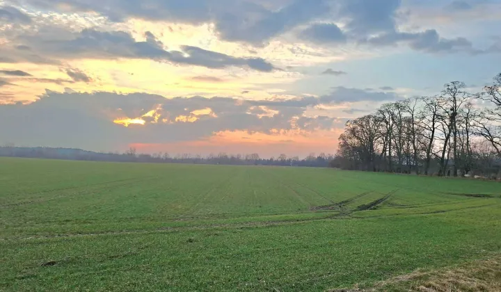 Działka budowlana Prusy