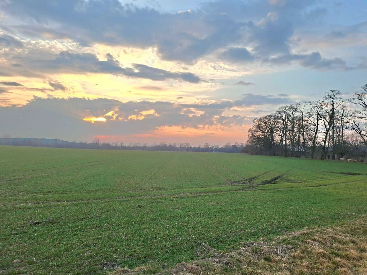 Działka budowlana Prusy. Zdjęcie 1