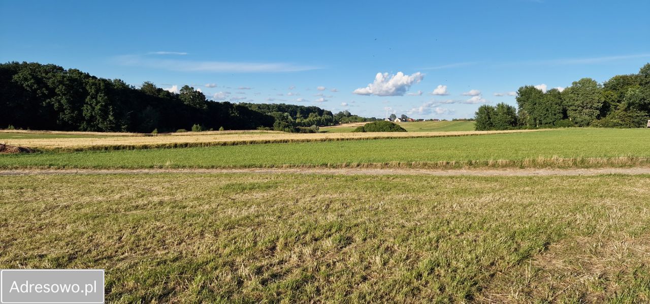 Działka rolna Przęsocin. Zdjęcie 3