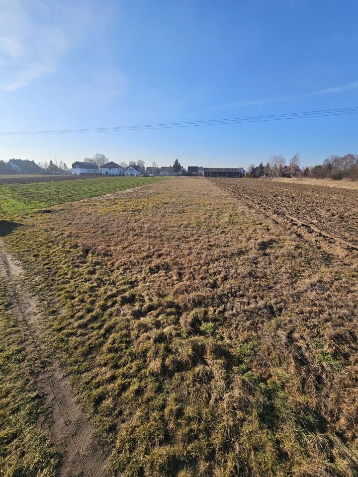 Działka budowlana Lisów. Zdjęcie 5