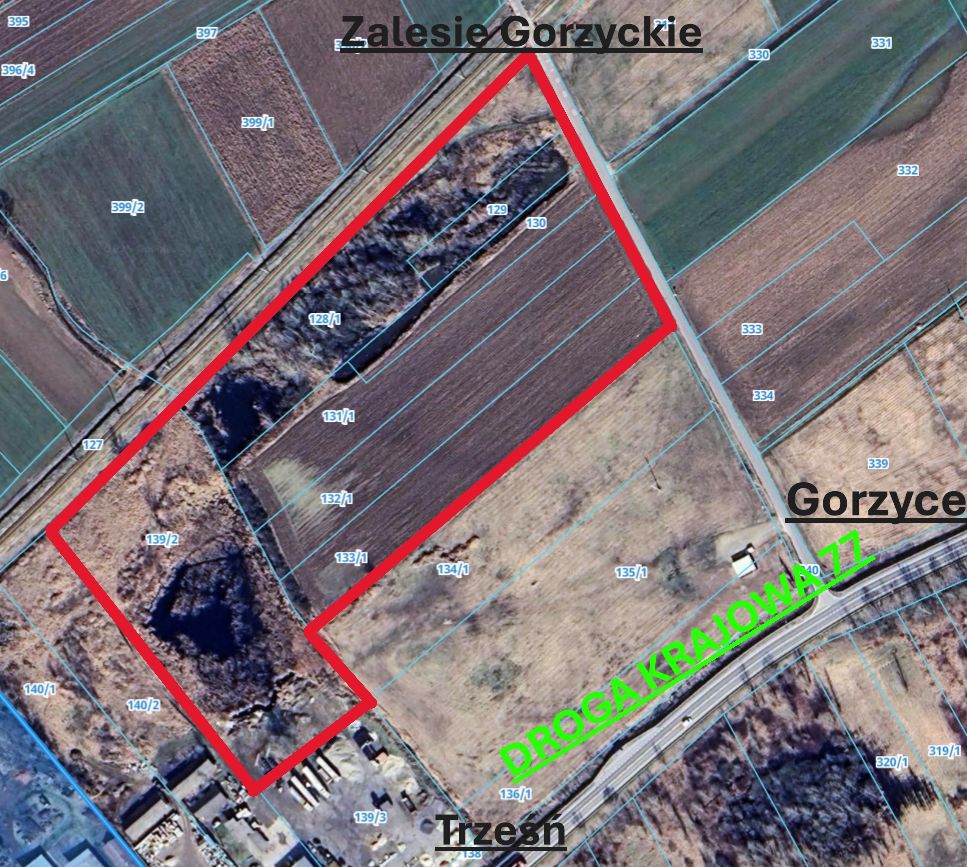 Działka inwestycyjna Zalesie Gorzyckie. Zdjęcie 2