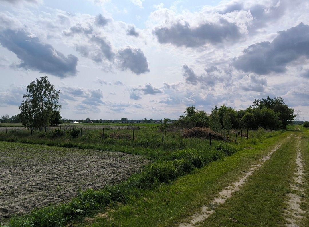 Działka rolno-budowlana Wólka Czarnińska