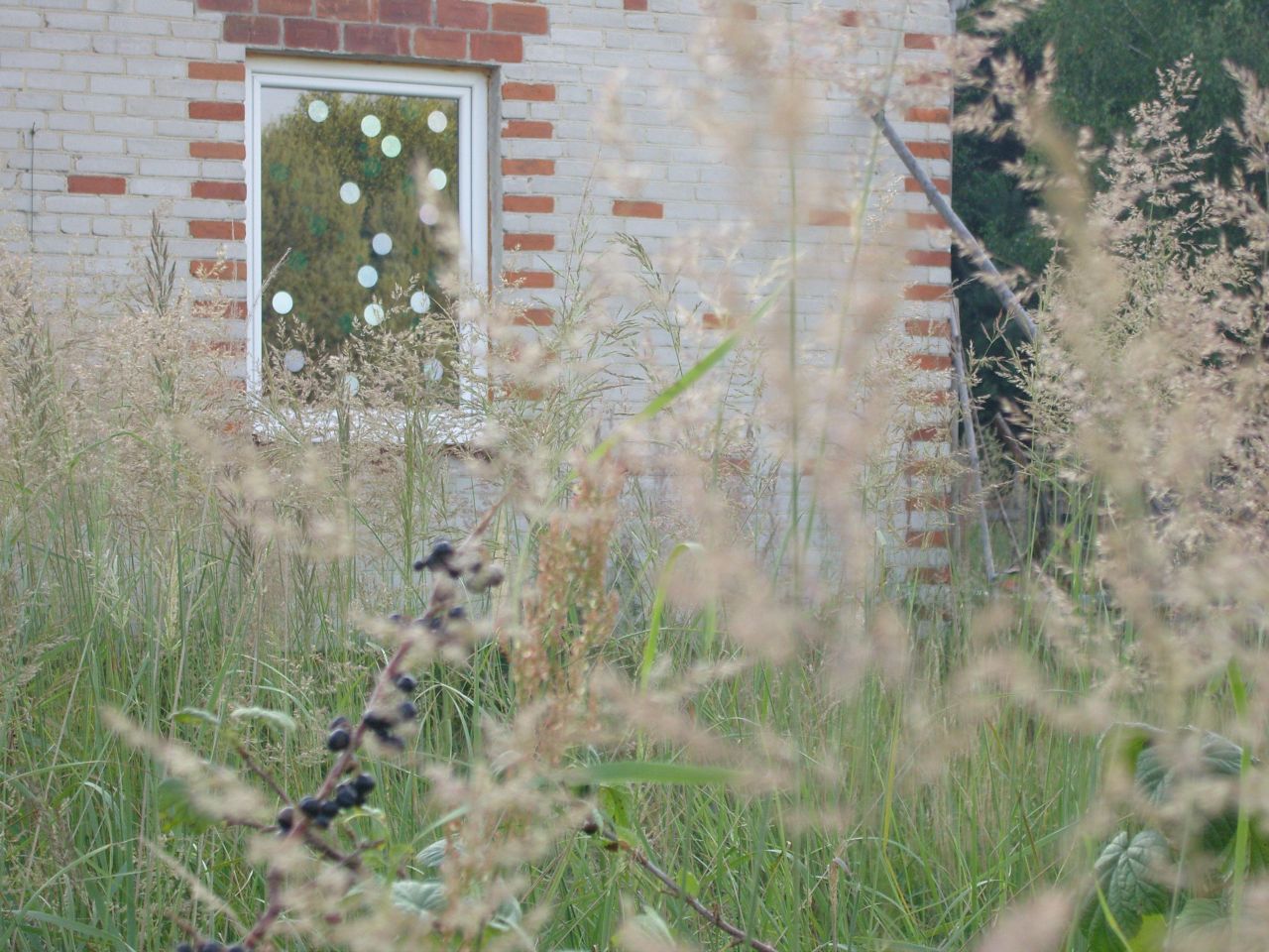 Działka inwestycyjna Kalenne. Zdjęcie 6