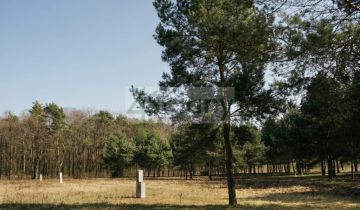 Działka budowlana Rajszew