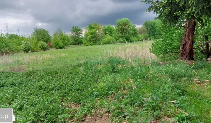 Działka rolno-budowlana Brzegi