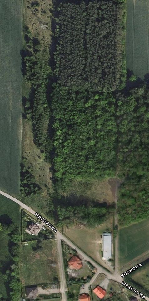 Działka budowlana Pęchcin, ul. Wrzosowa. Zdjęcie 2