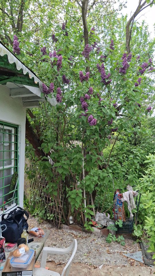 Działka rod Katowice Załęska Hałda, ul. Feliksa Bocheńskiego. Zdjęcie 4