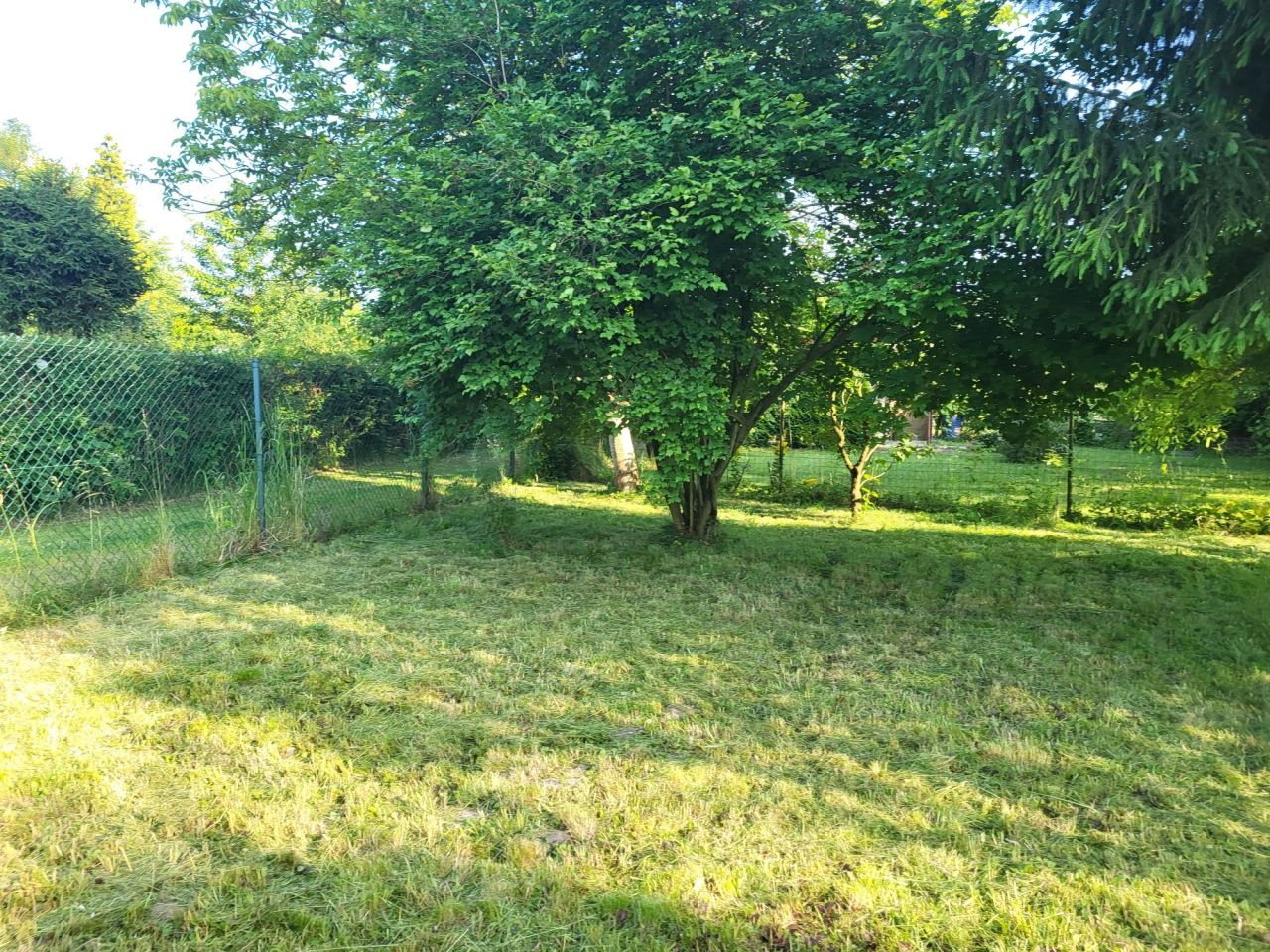 Działka rod Gliwice Brzezinka, ul. Ignacego Daszyńskiego