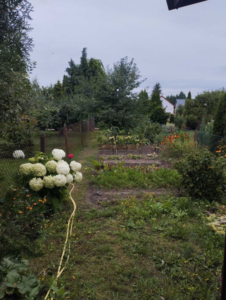 Działka rod Września. Zdjęcie 8