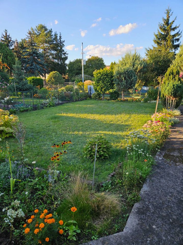 Działka rod Poznań Winogrady, ul. Serbska. Zdjęcie 6