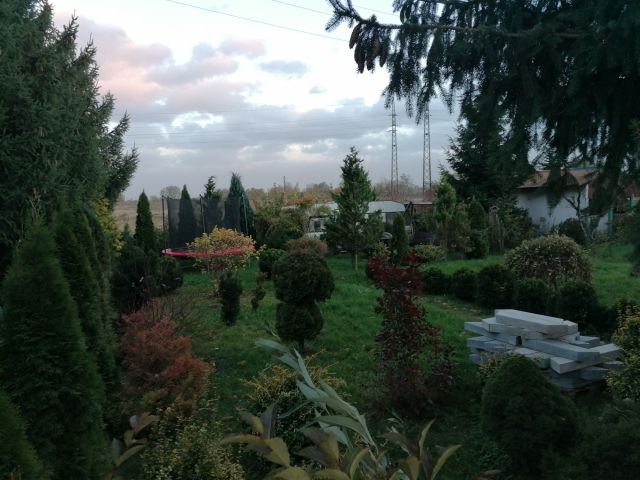 Działka rekreacyjna Kutno, ul. Toruńska. Zdjęcie 1