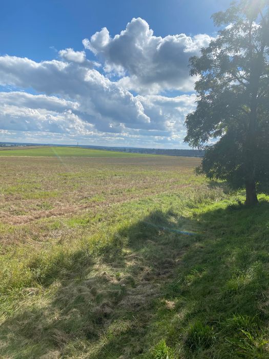 Działka budowlana Czermin. Zdjęcie 3