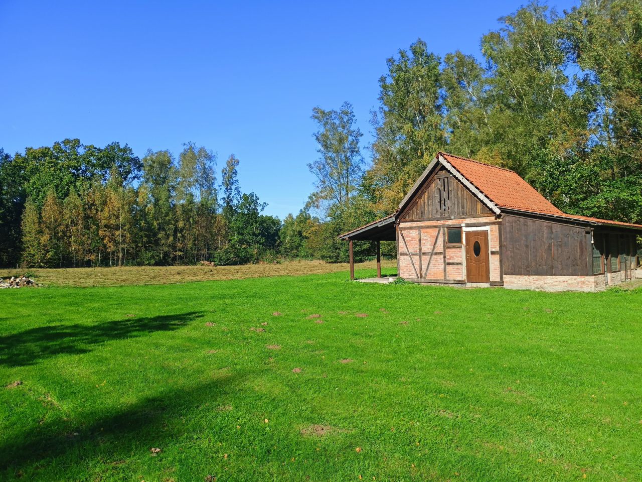 Działka rolno-budowlana Rusy. Zdjęcie 8