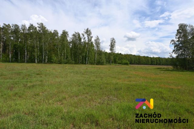 Działka budowlana Świdnica Łochowo. Zdjęcie 4