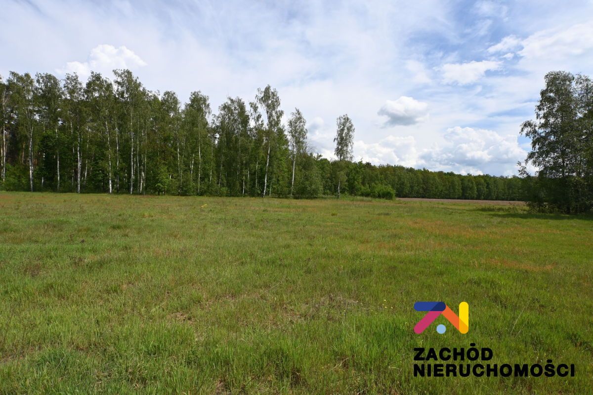 Działka budowlana Świdnica Łochowo. Zdjęcie 4