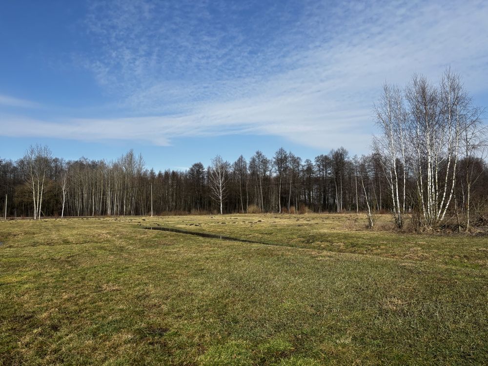 Działka rolno-budowlana Antonin. Zdjęcie 3