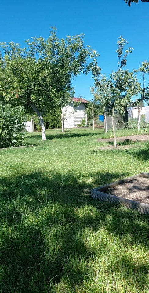 Działka rod Grochowiska. Zdjęcie 7