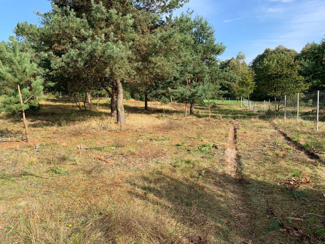 Działka rolno-budowlana Ostrowo. Zdjęcie 6