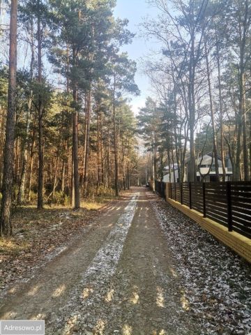 Działka leśna Radzymin Rejentówka. Zdjęcie 1