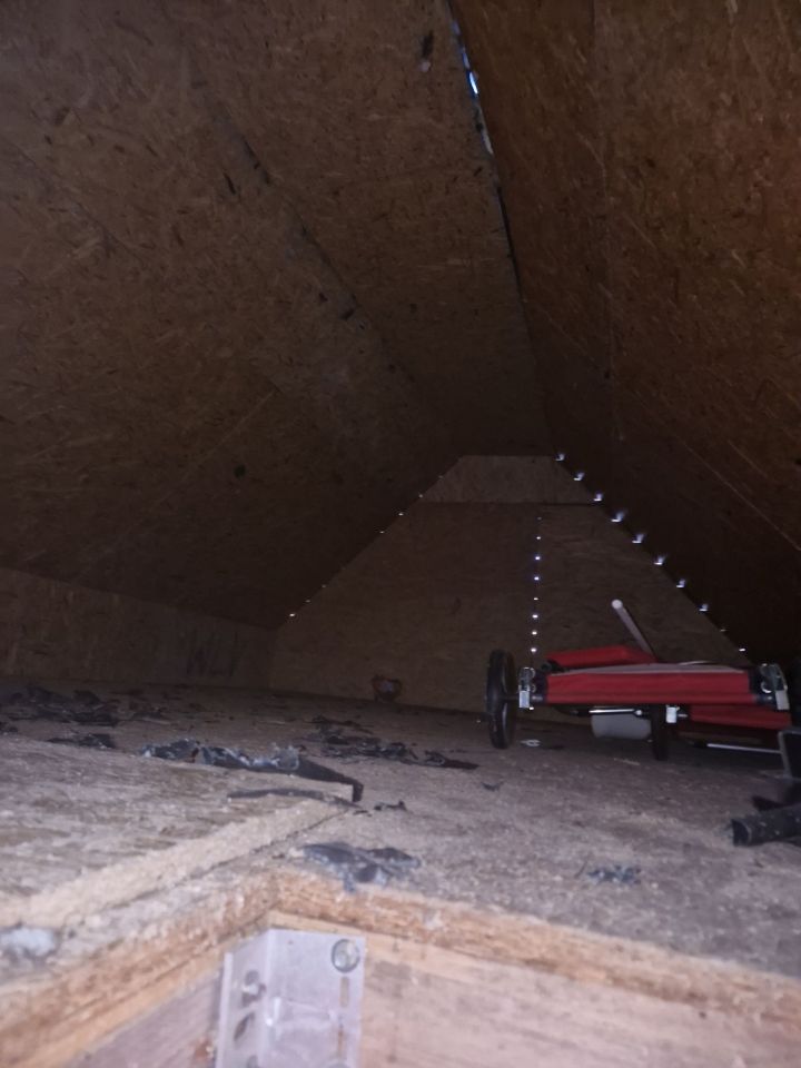 Działka rod Nowa Sól. Zdjęcie 6