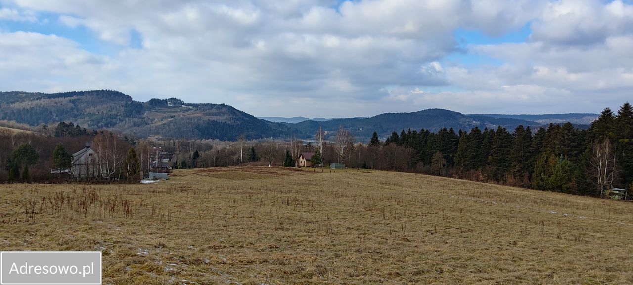 Działka rolna Witowice Dolne. Zdjęcie 5