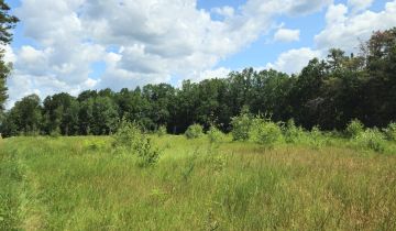 Działka budowlana Brzóza, ul. Długa