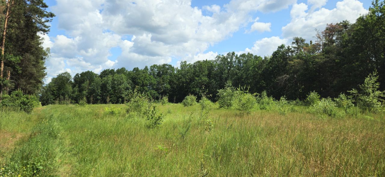 Działka budowlana Brzóza, ul. Długa. Zdjęcie 2