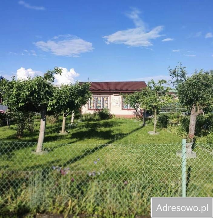 Działka rod Nysa, ul. Adama Mickiewicza. Zdjęcie 2