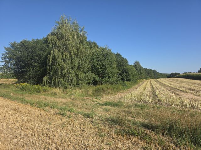 Działka rolna Żuklin. Zdjęcie 1