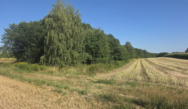 Działka rolna Żuklin