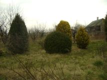 Działka rolno-budowlana Zwola. Zdjęcie 2