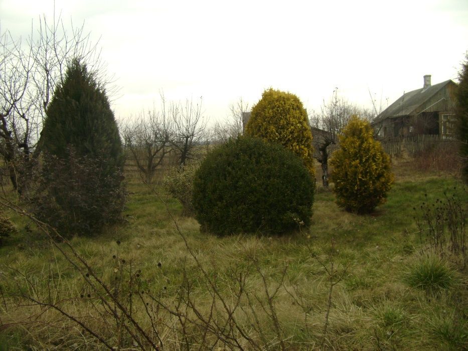 Działka rolno-budowlana Zwola. Zdjęcie 3