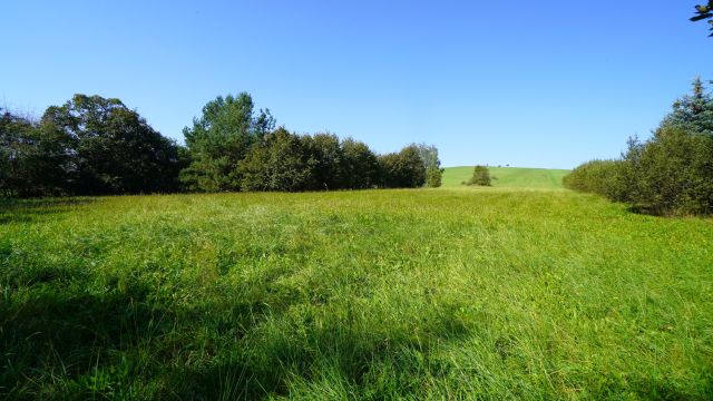 Działka rolno-budowlana Bednarka. Zdjęcie 3