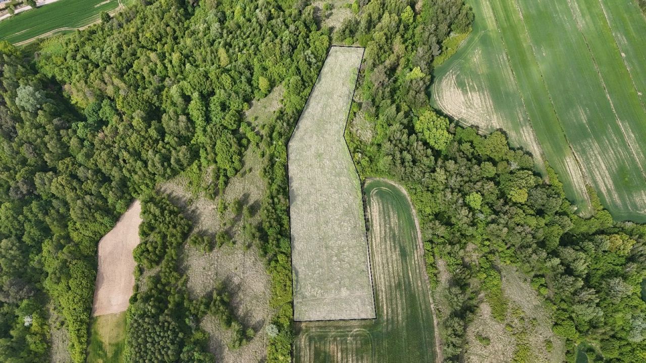 Działka rolna Kunów, ul. Kaznodziejska. Zdjęcie 2