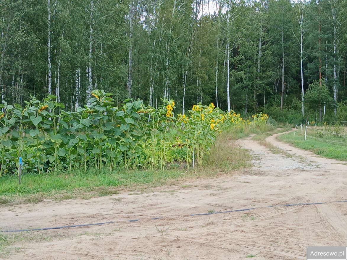 dom wolnostojący, 2 pokoje Gródek. Zdjęcie 5