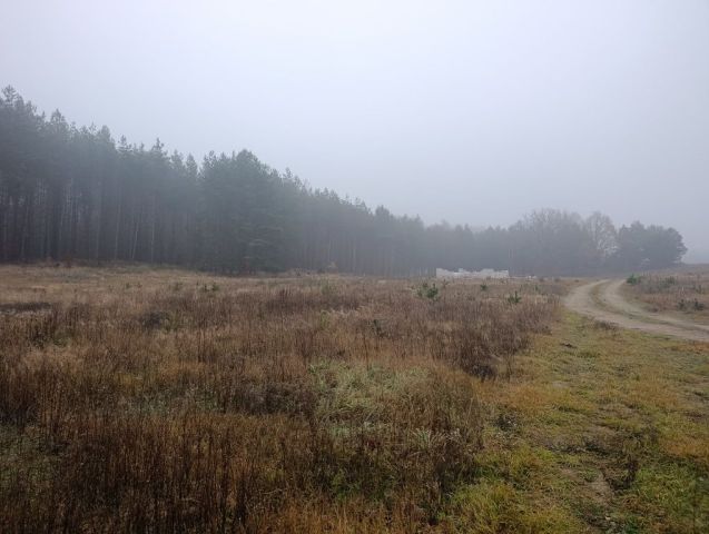 Działka budowlana Ugoszcz. Zdjęcie 1