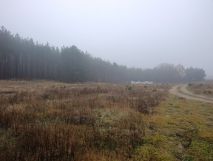 Działka budowlana Ugoszcz