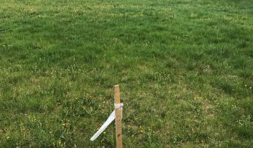 Działka budowlana Pasym, ul. Jeziorna