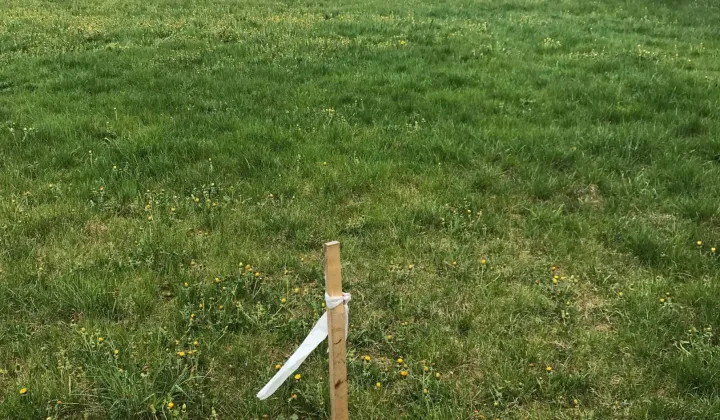 Działka budowlana Pasym, ul. Jeziorna