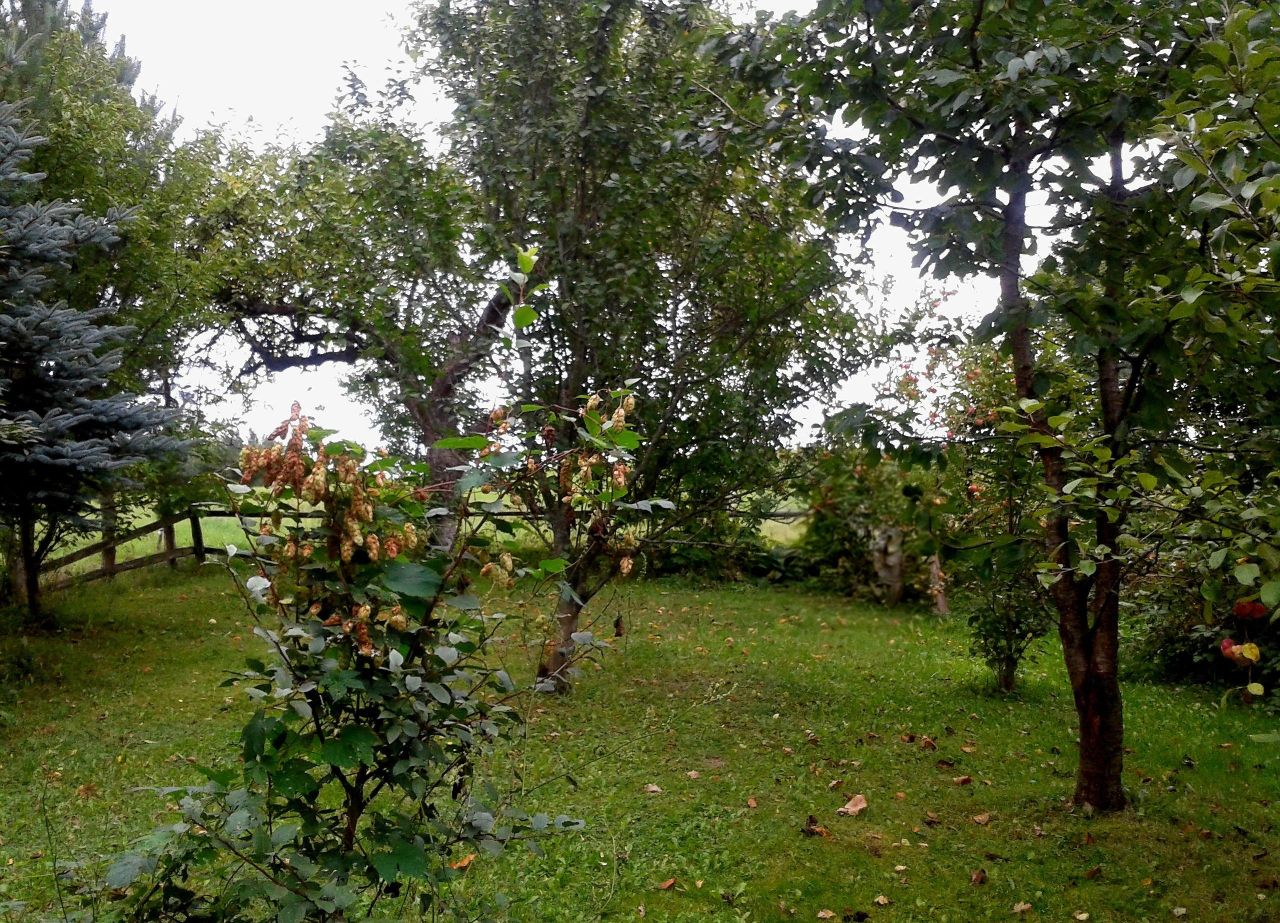 Działka inna Wólka, Wólka. Zdjęcie 9